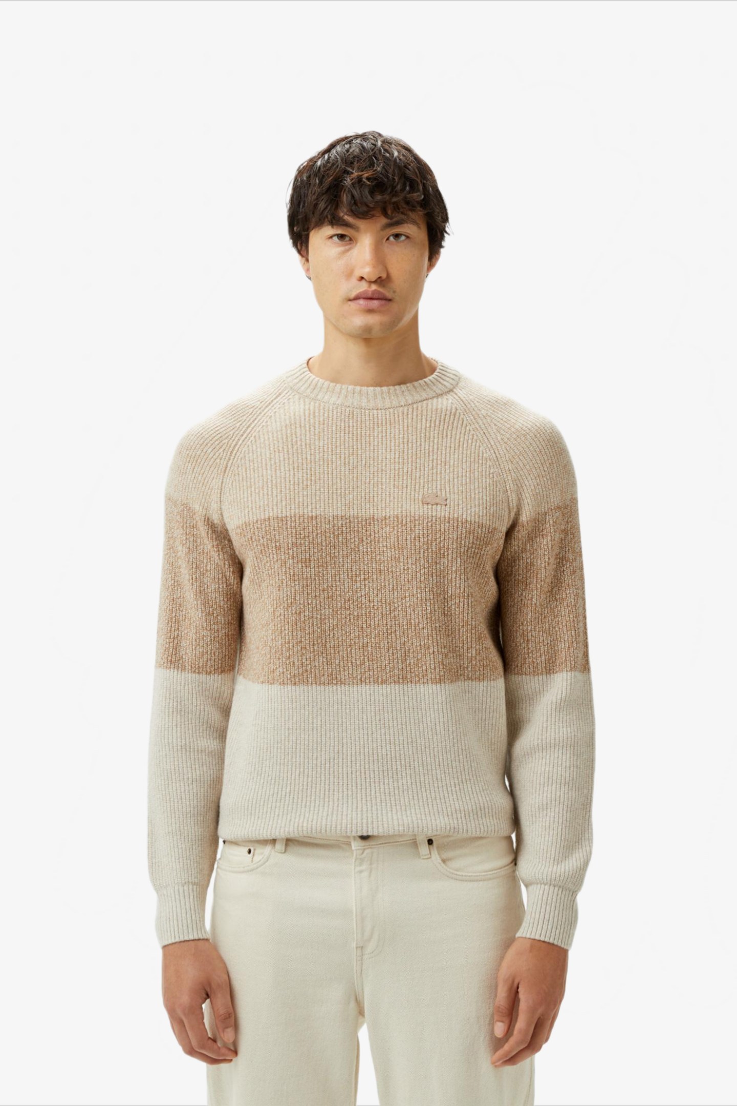 Мужской бежевый свитер Бежевый L-XL Lacoste AH251902S Мужской бежевый свитер Бежевый L-XL Lacoste AH251902S