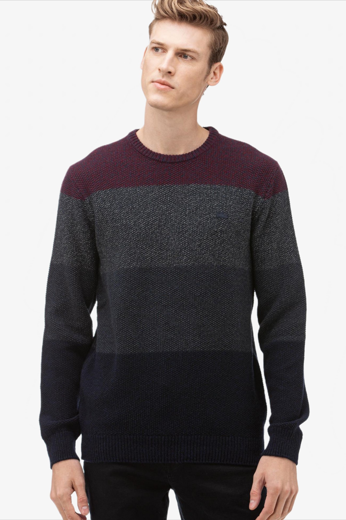 Мужской синий свитер Синий XS Lacoste AH193333L Мужской синий свитер Синий XS Lacoste AH193333L