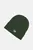 Зелена шапка Cuffed Beanie Flying NB Logo