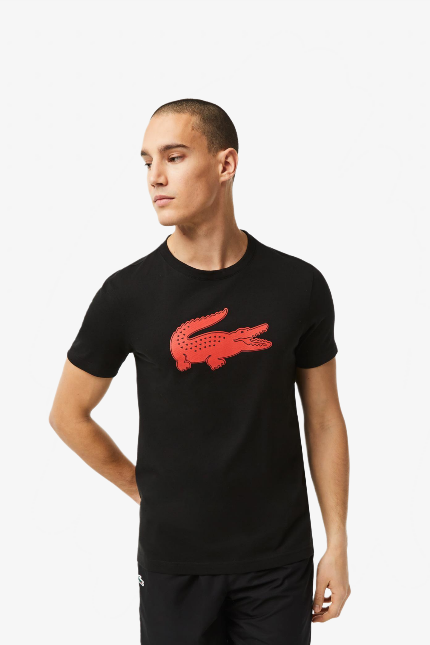 Мужская черная футболка Черный S Lacoste TH2042BZJ Мужская черная футболка Черный S Lacoste TH2042BZJ