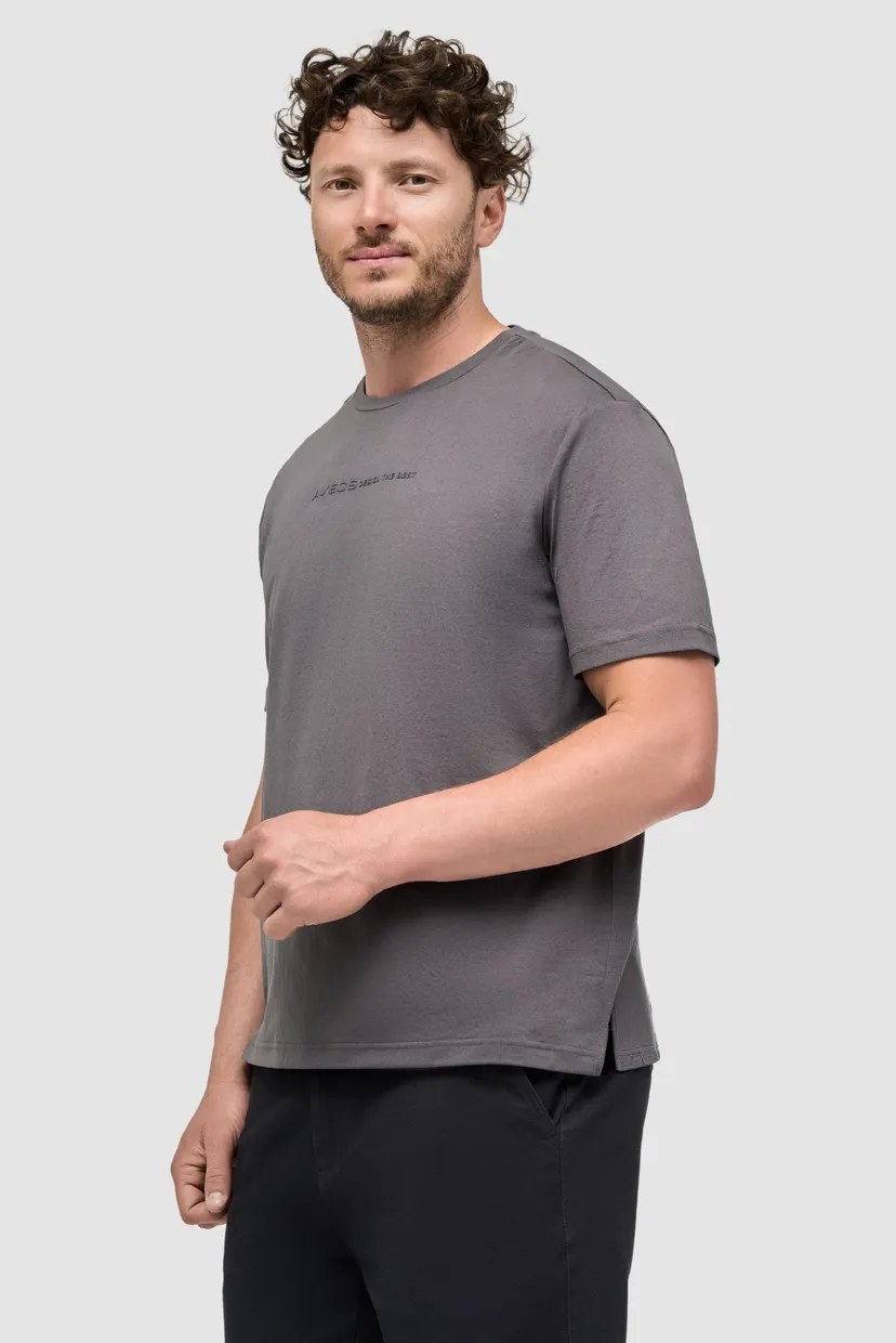 Чоловіча футболка сіра T-shirt 5