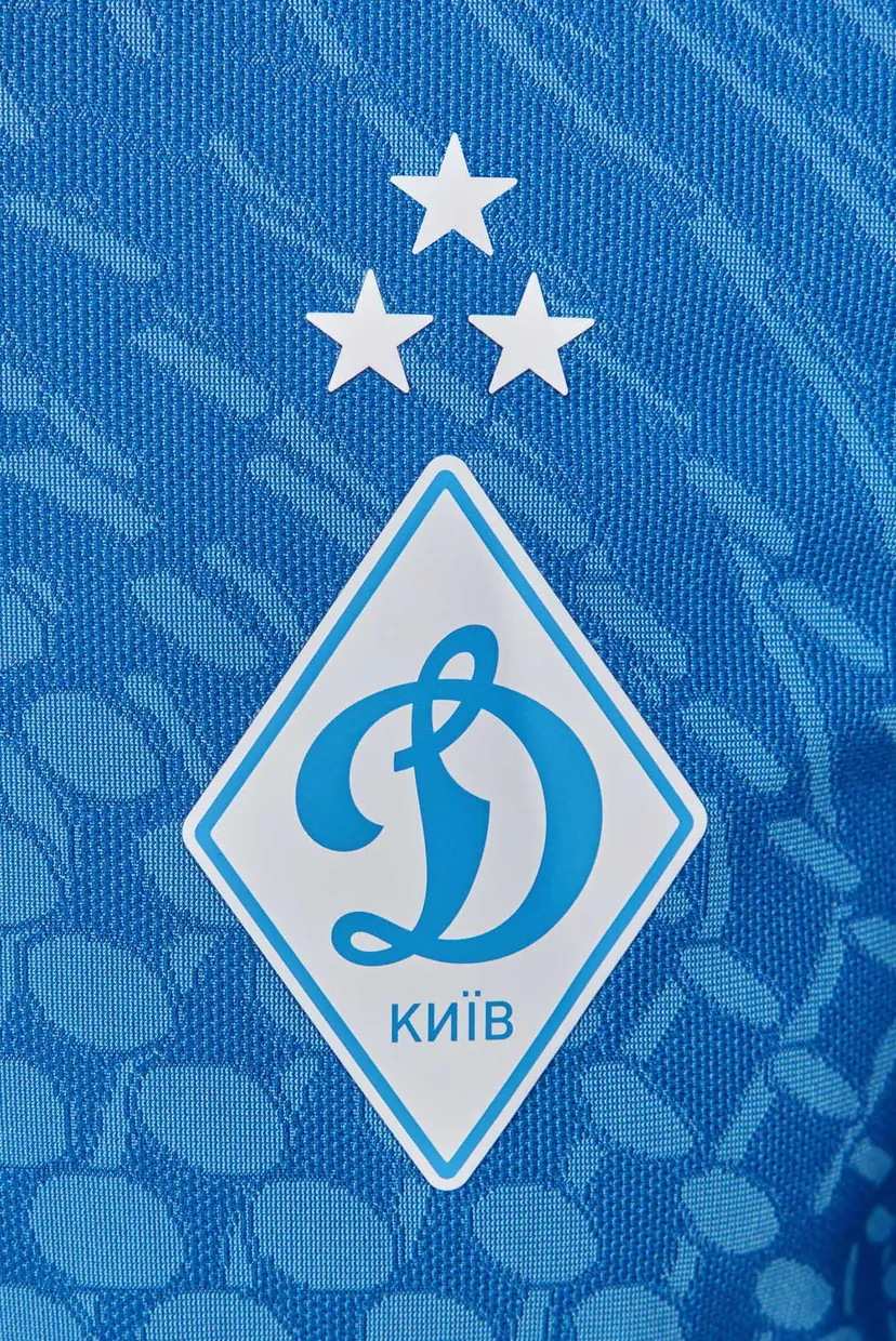 Чоловіча блакитна спортивна кофта ФК «Динамо» Київ 4