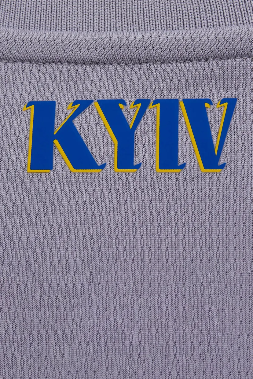 Серая вратарская футболка ФК «Динамо» Київ AWAY 5