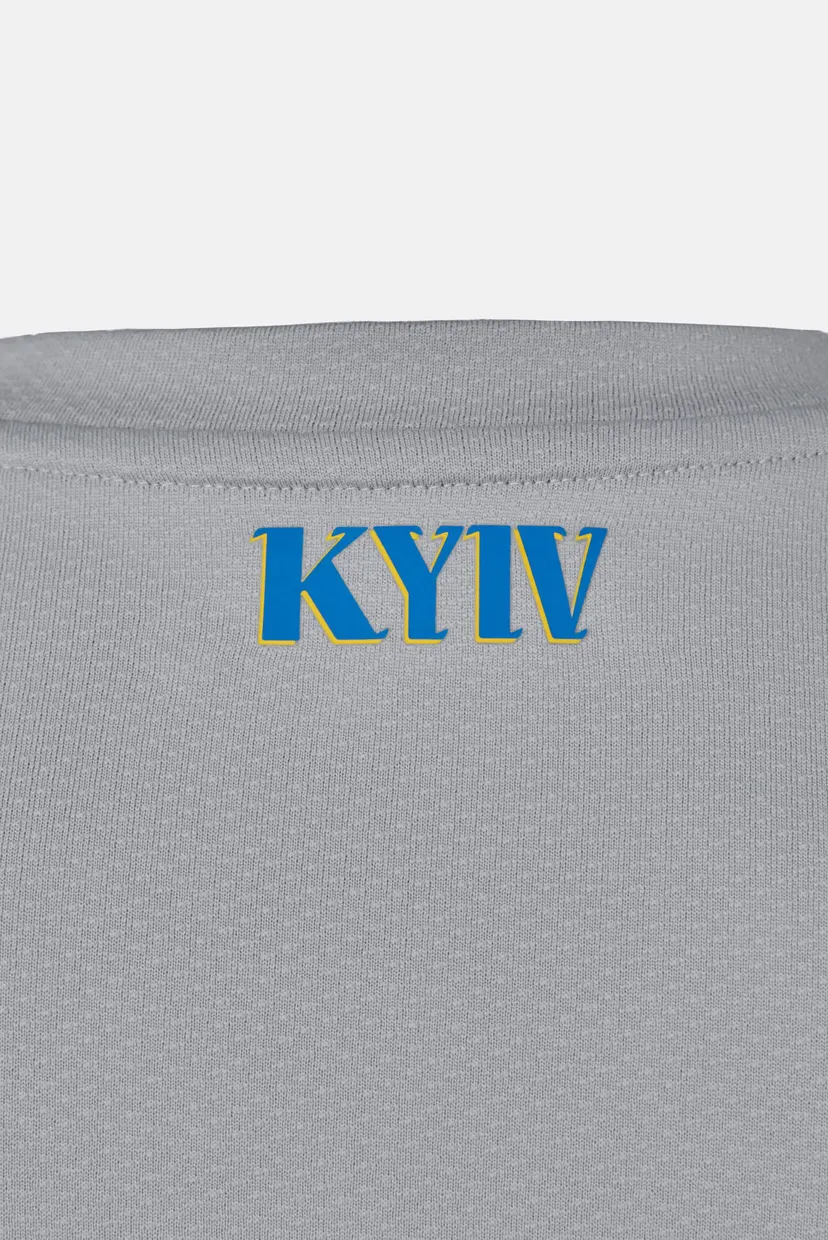 Мужская серая вратарская футболка ФК «Динамо» Киев Away 5