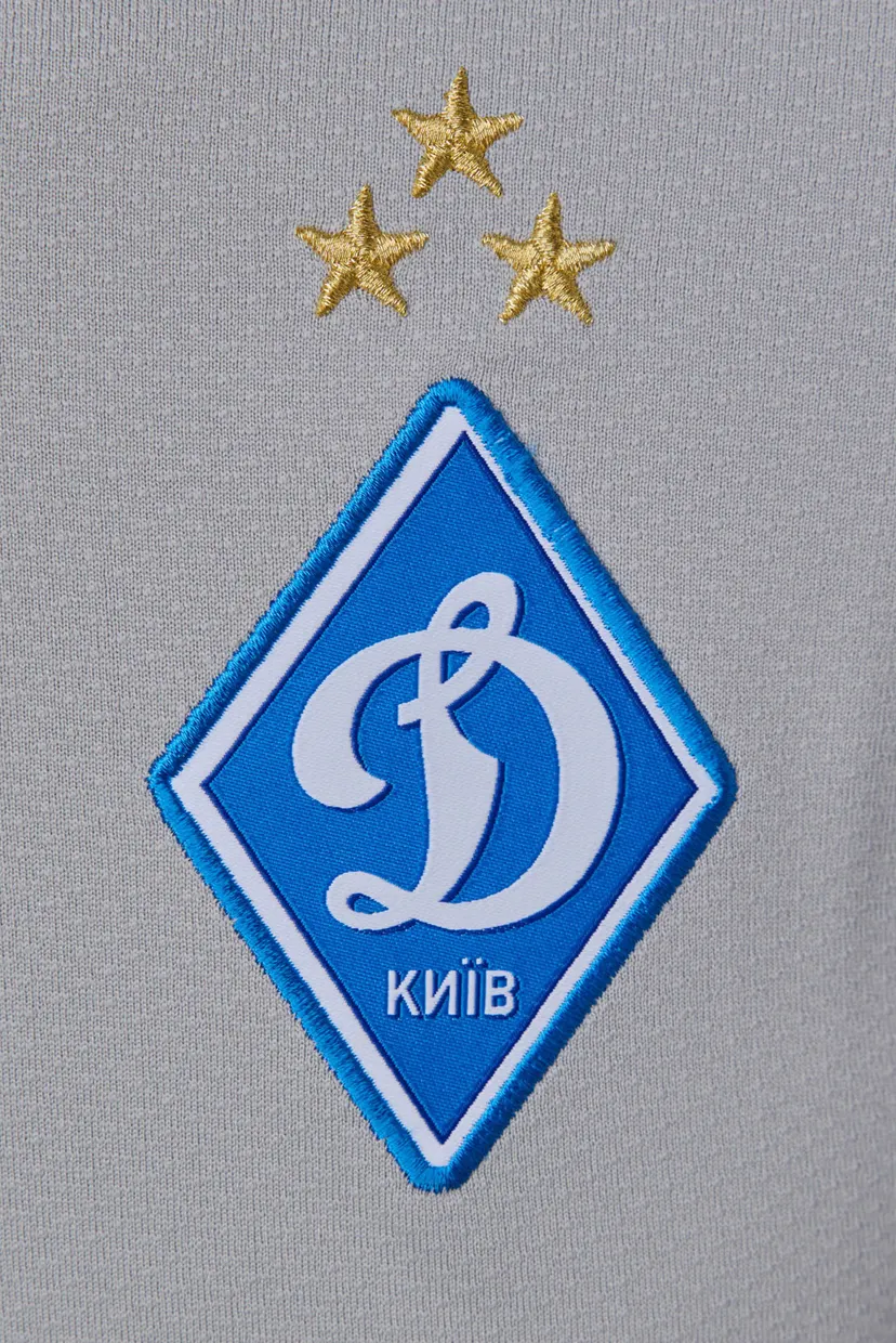Чоловіча сіра воротарська футболка ФК «Динамо» Київ Away 4